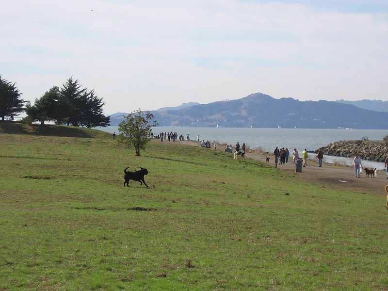 Point Isabel Regional Shoreline