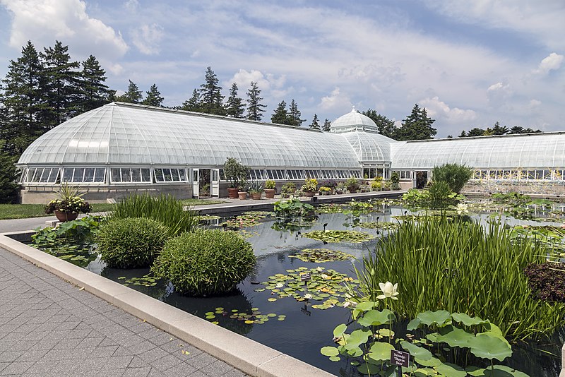 Jardín botánico de Nueva York