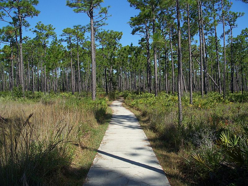 Tarkiln Bayou Preserve State Park