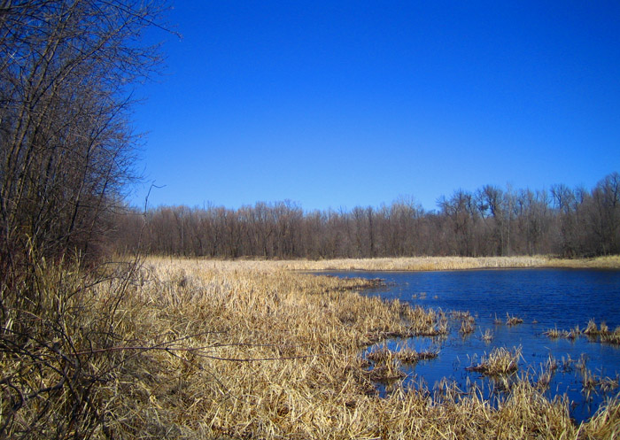 Climate of Minnesota