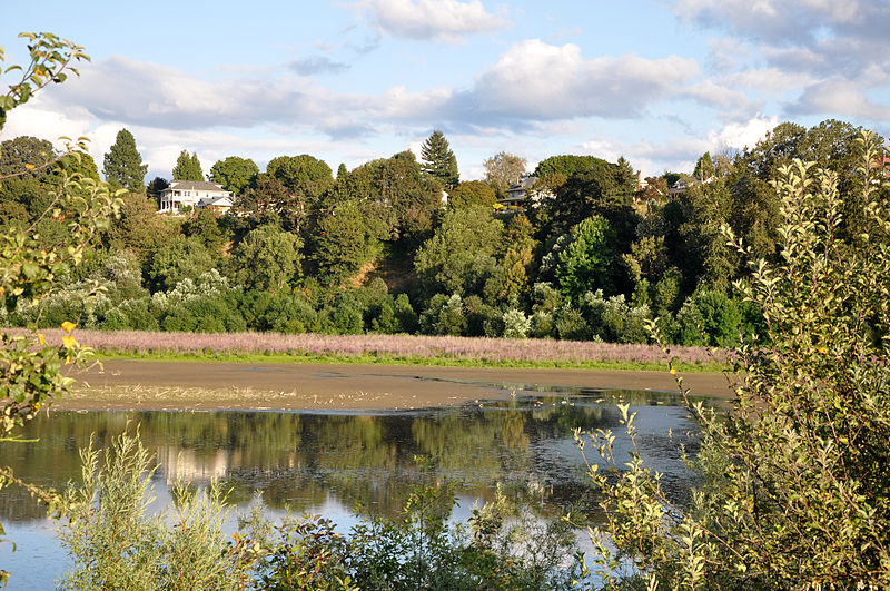 Oaks Bottom Wildlife Refuge