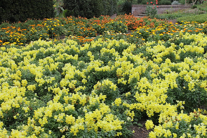 Jardín botánico de San Antonio