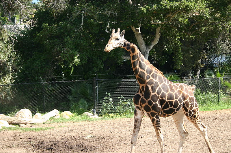 Santa Barbara Zoo