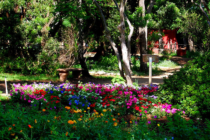 Zilker Botanical Garden