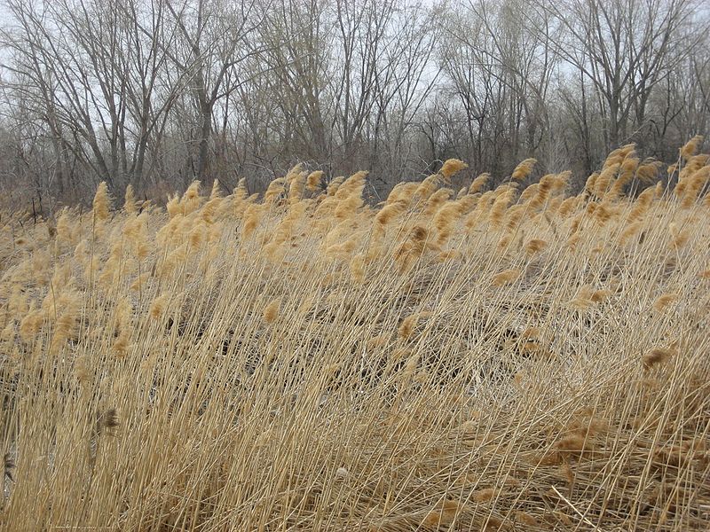 Jordan River Parkway