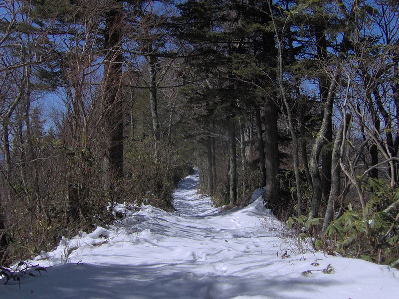 Sugarland Mountain Trail