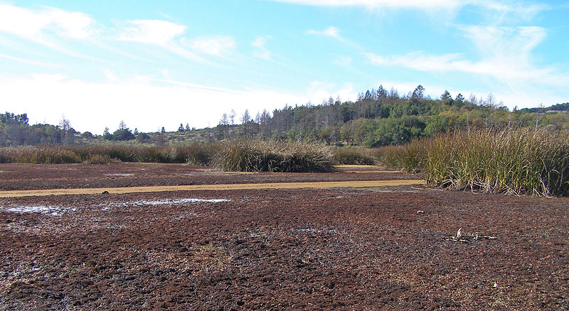 Trione-Annadel State Park