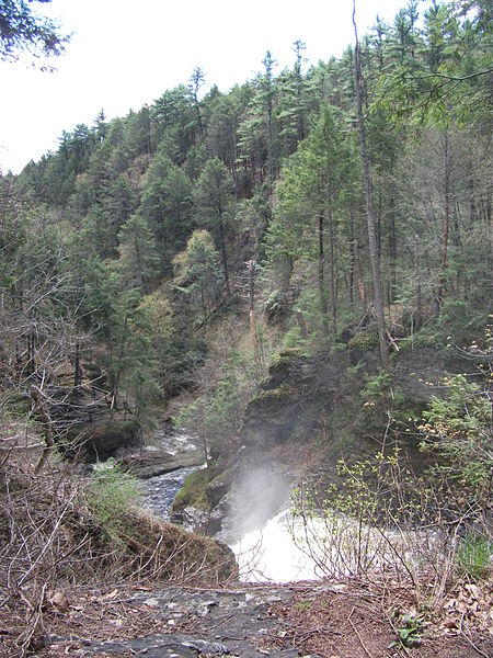 Raymondskill Falls