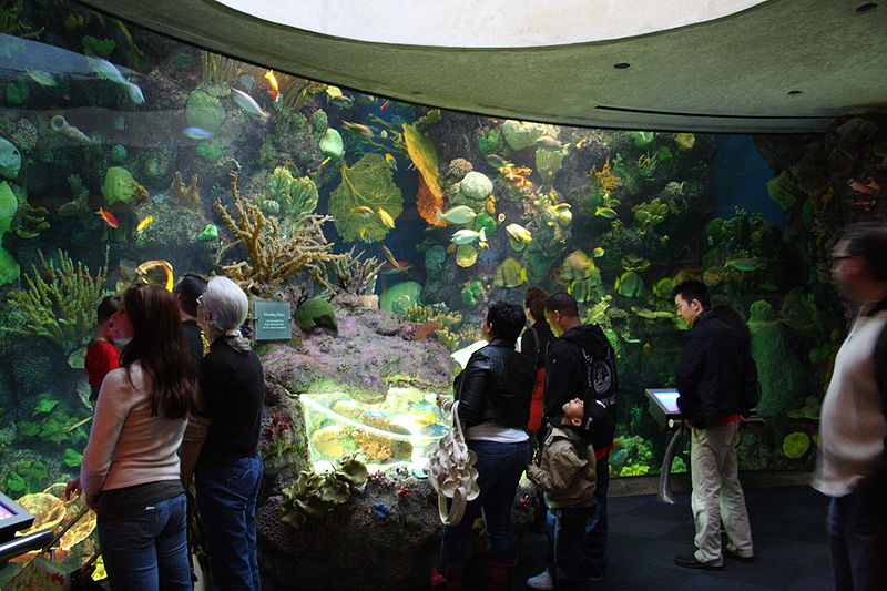Aquarium John G. Shedd