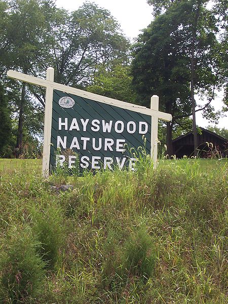 Rezerwat Przyrody Hayswood