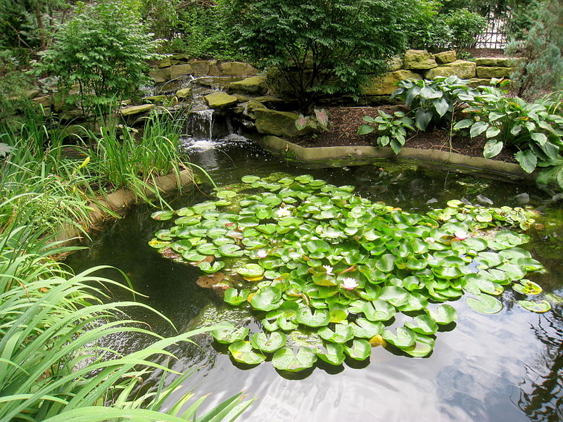 Rodef Shalom Biblical Botanical Garden, Pittsburgh