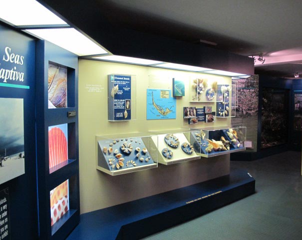 Bailey-Matthews National Shell Museum