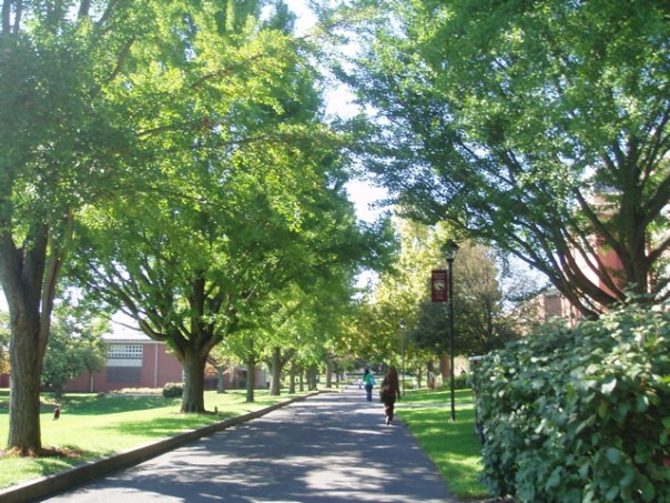 Université de Susquehanna