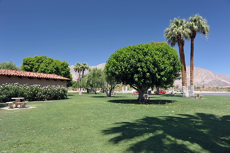 Borrego Springs