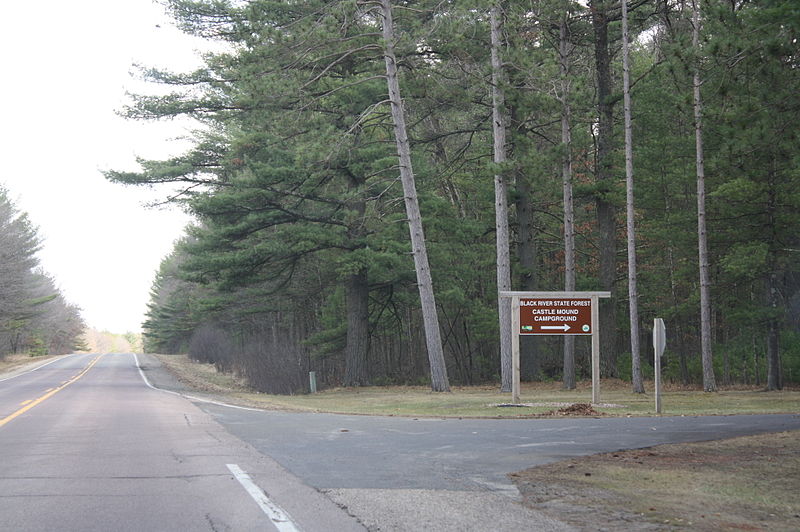 Black River State Forest