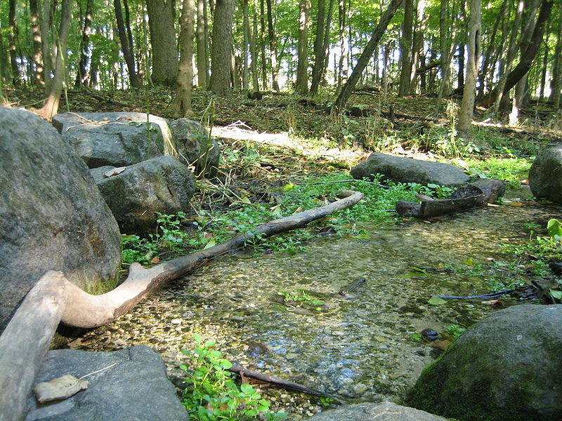 Silver Springs State Fish and Wildlife Area