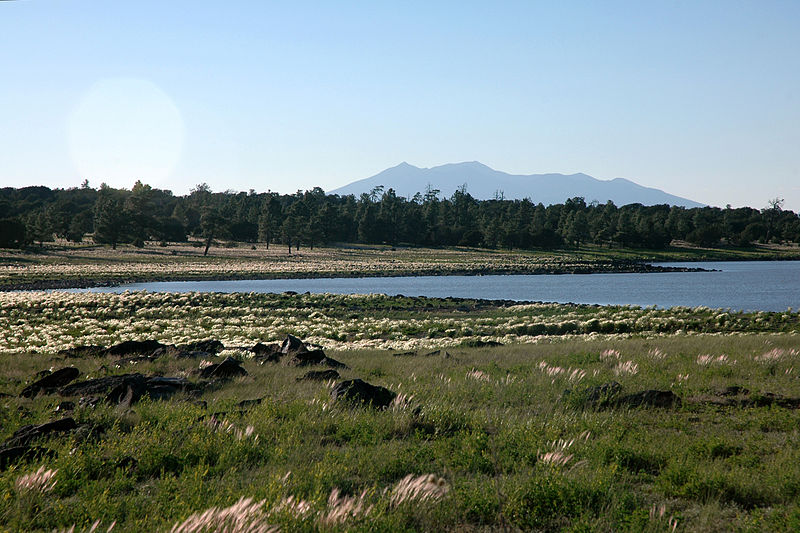 Ashurst Lake