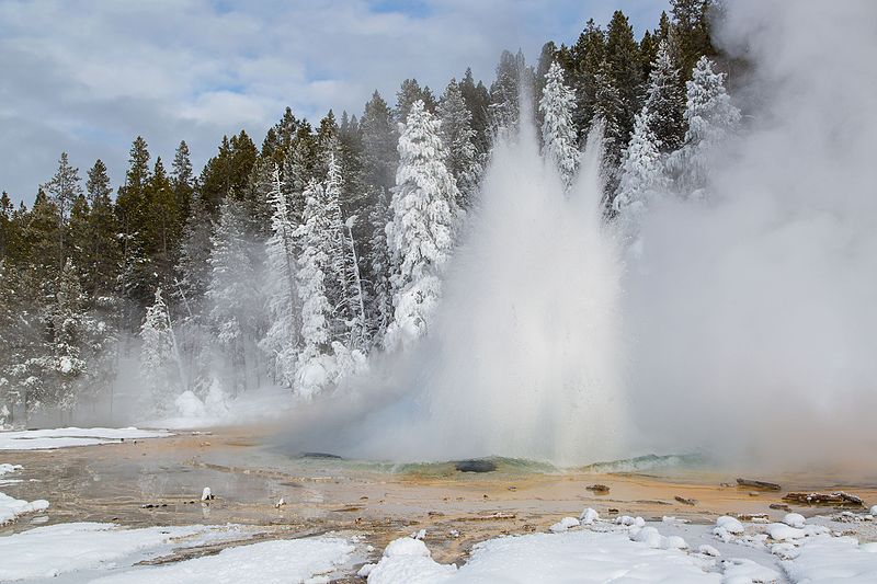 Solitary Geyser