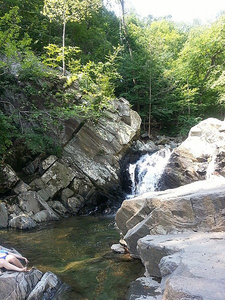 Scott's Run Nature Preserve, McLean