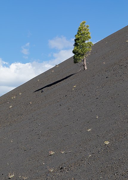 Cinder Cone