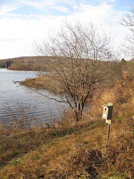 Lackawanna State Park