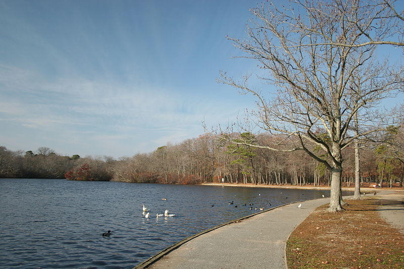 Park Stanowy Belmont Lake