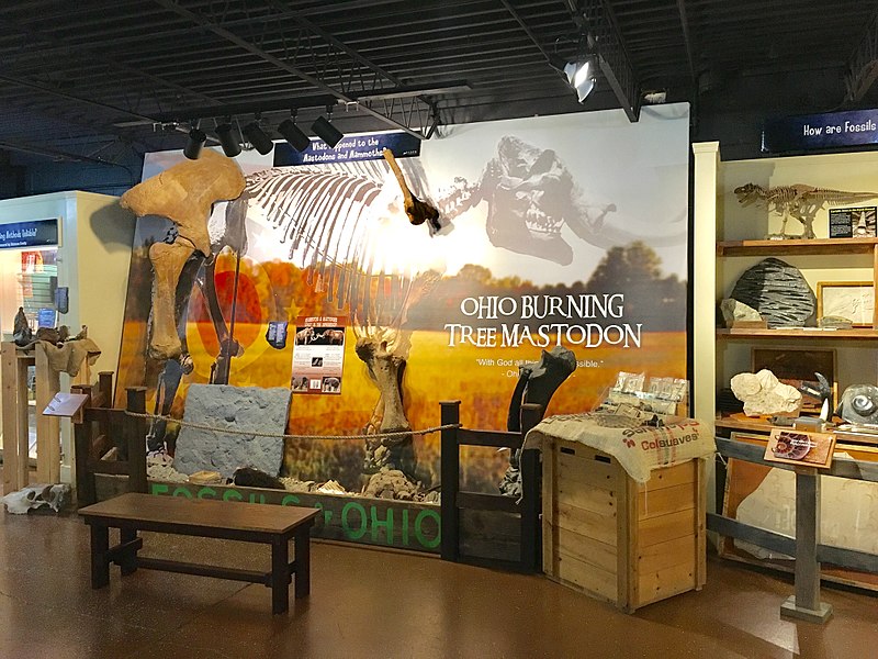 Akron Fossils & Science Center