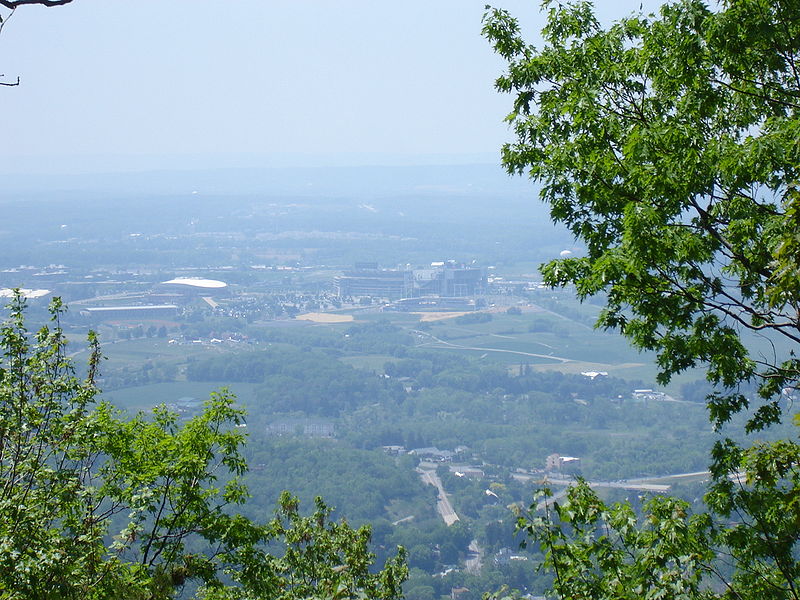 Medlar Field