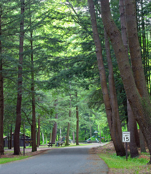 Sizerville State Park