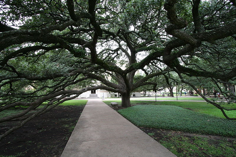 Universidad de Texas A&M