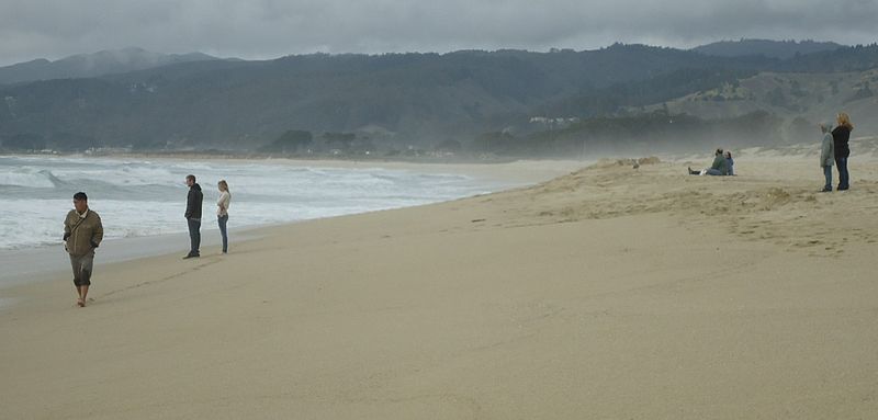 Half Moon Bay State Beach