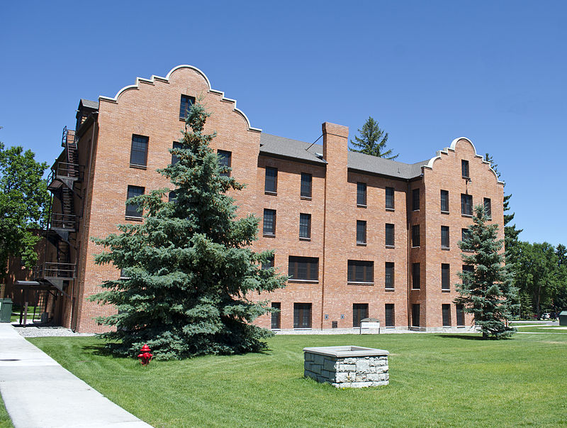 Université d'État du Montana