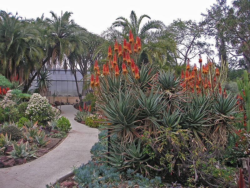 Desert Garden Conservatory