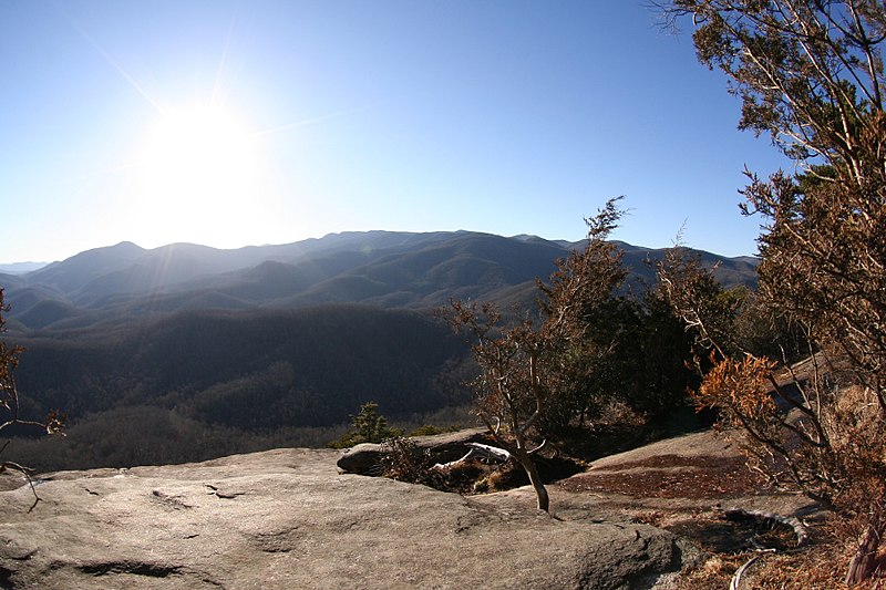 DuPont State Forest