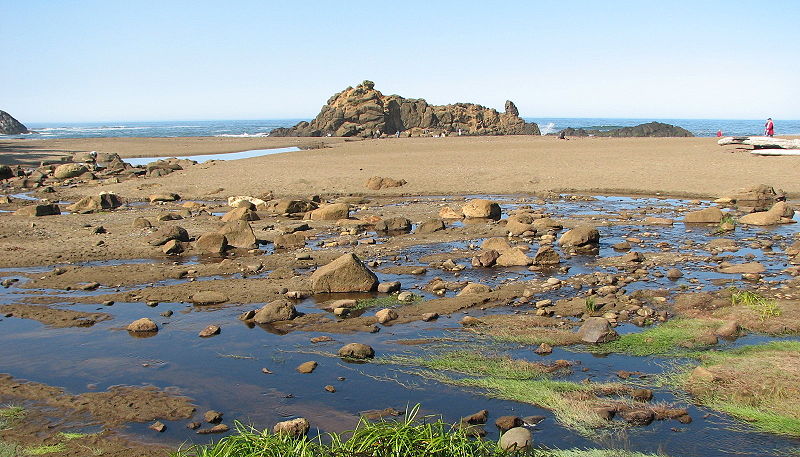 Fogarty Creek State Recreation Area