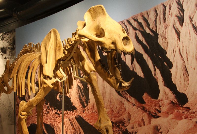 Raymond M. Alf Museum of Paleontology