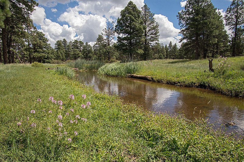 Picture Canyon Natural and Cultural Preserve