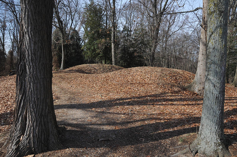 Freestone Point Confederate Battery