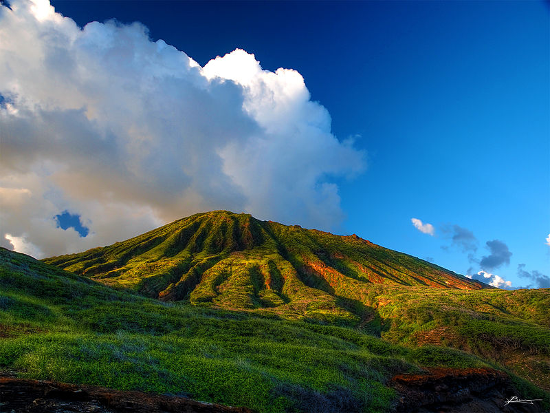 Honolulu Volcanics