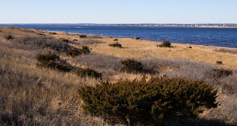 Napatree Point