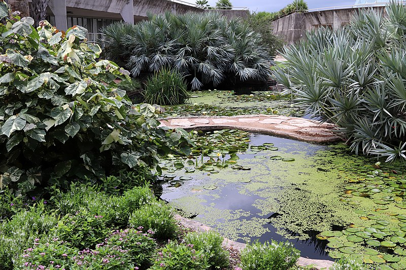 Jardín botánico de San Antonio
