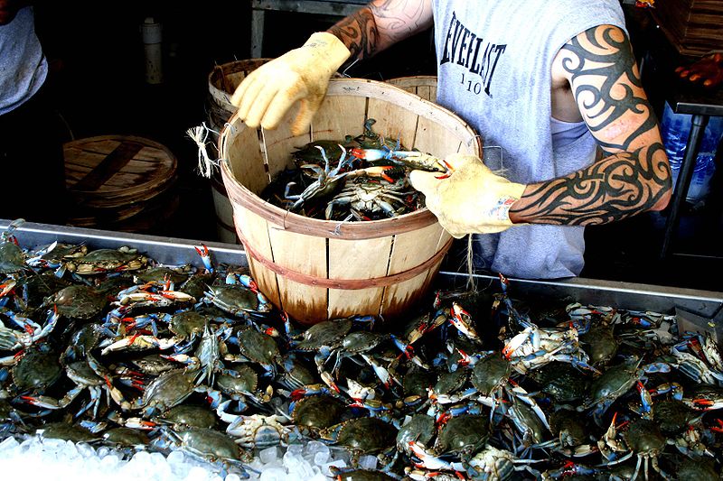 Maine Avenue Fish Market