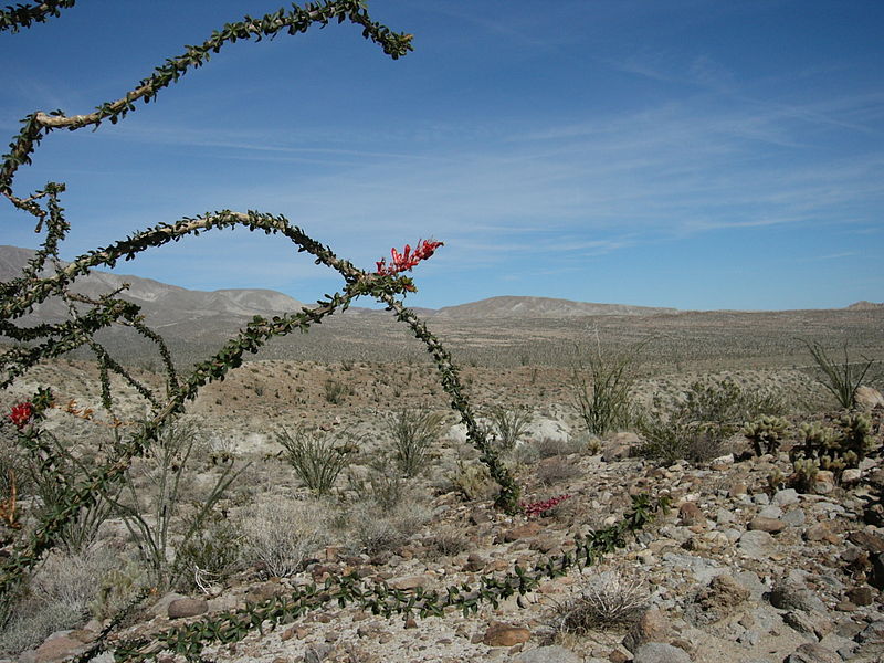 Agua Caliente County Park