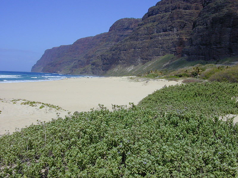 Park Stanowy Polihale
