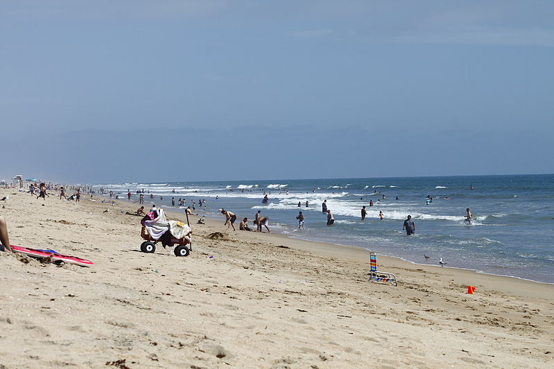 Bolsa Chica State Beach