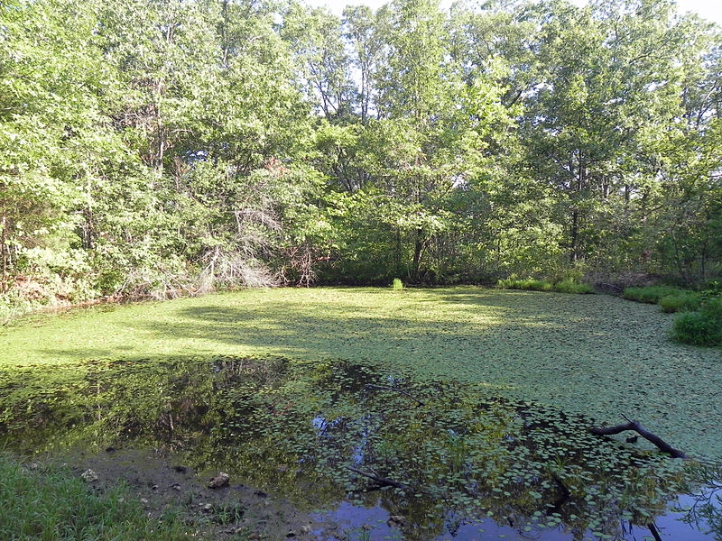 Meramec Conservation Area