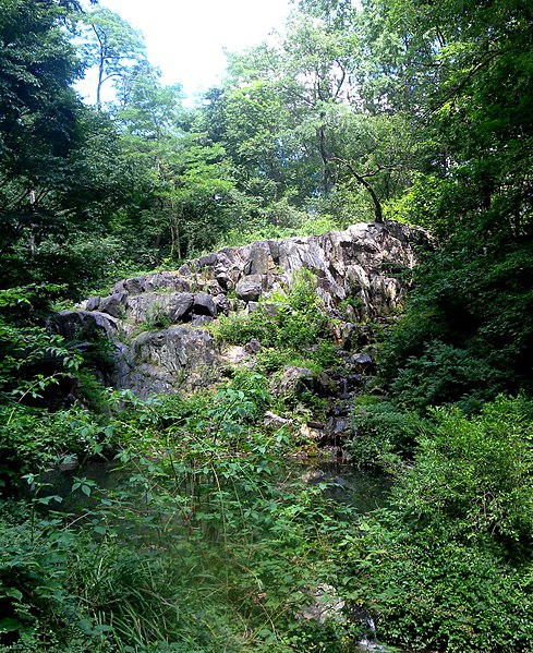 Hallett Nature Sanctuary