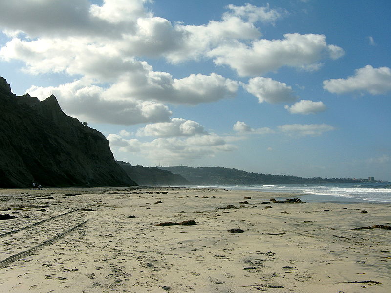 Black’s Beach