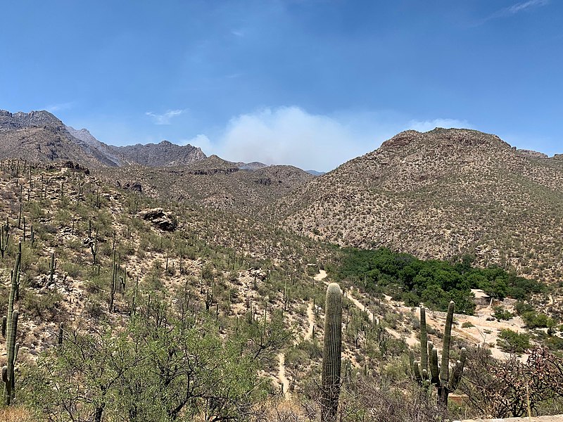 Sabino Canyon