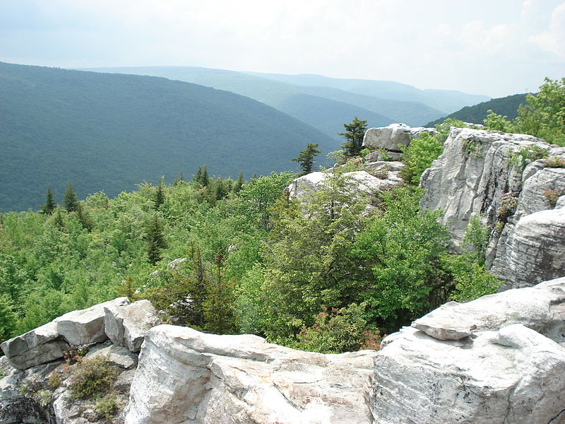 Dolly Sods Wilderness